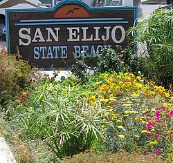 San Elijo State Beach Surfing Lessons